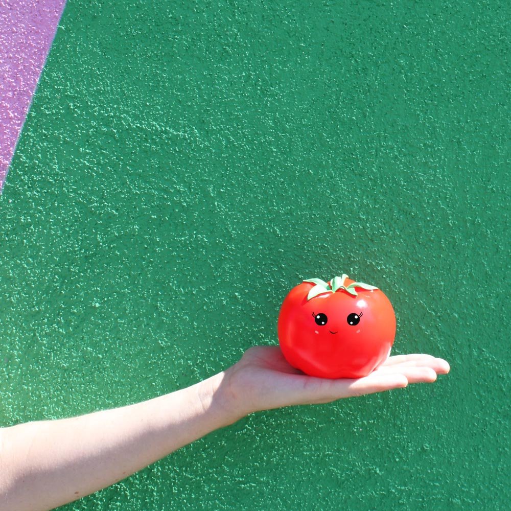 Tomato Mini LED light - House of Disaster