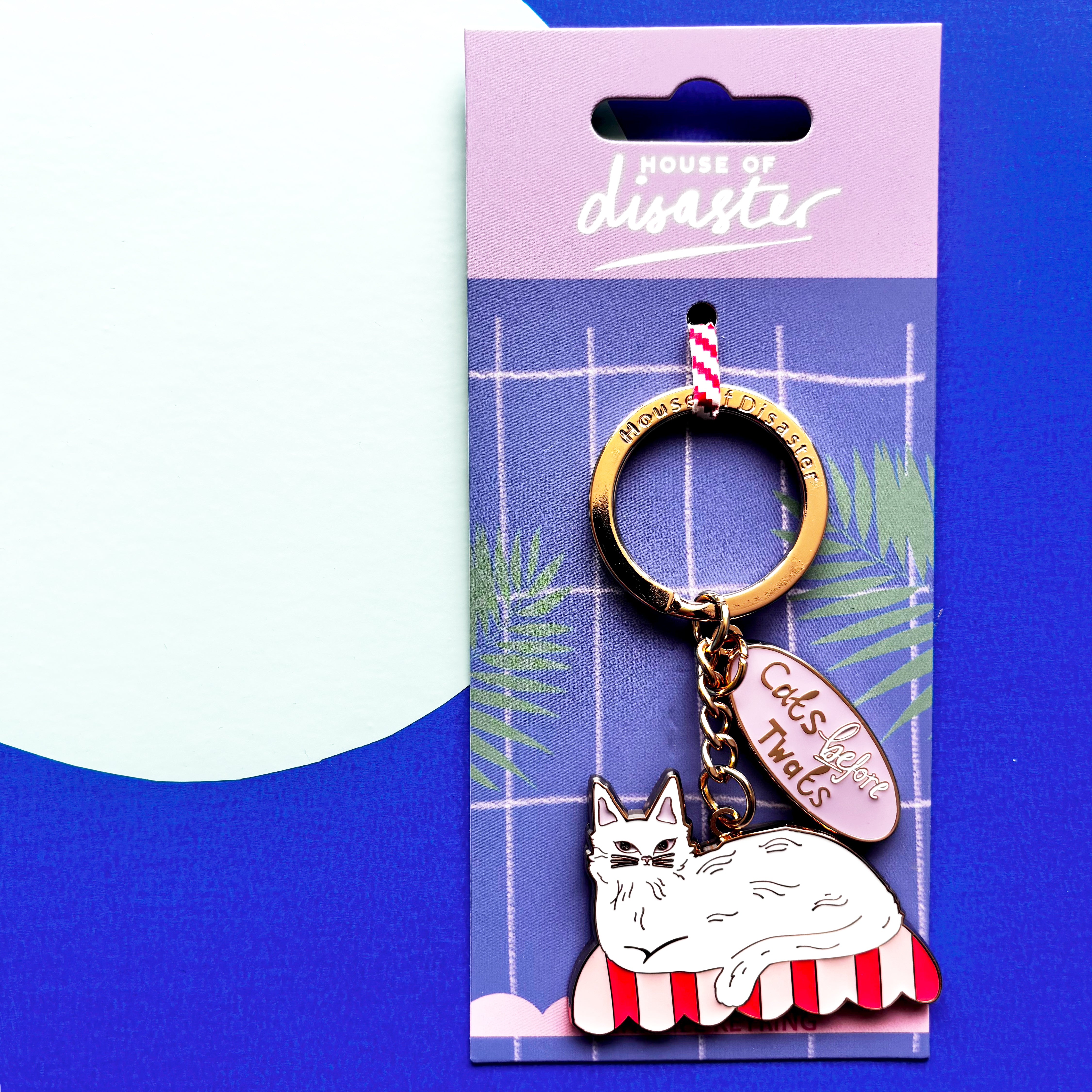 Catnip 'Cats before twats' Keyring