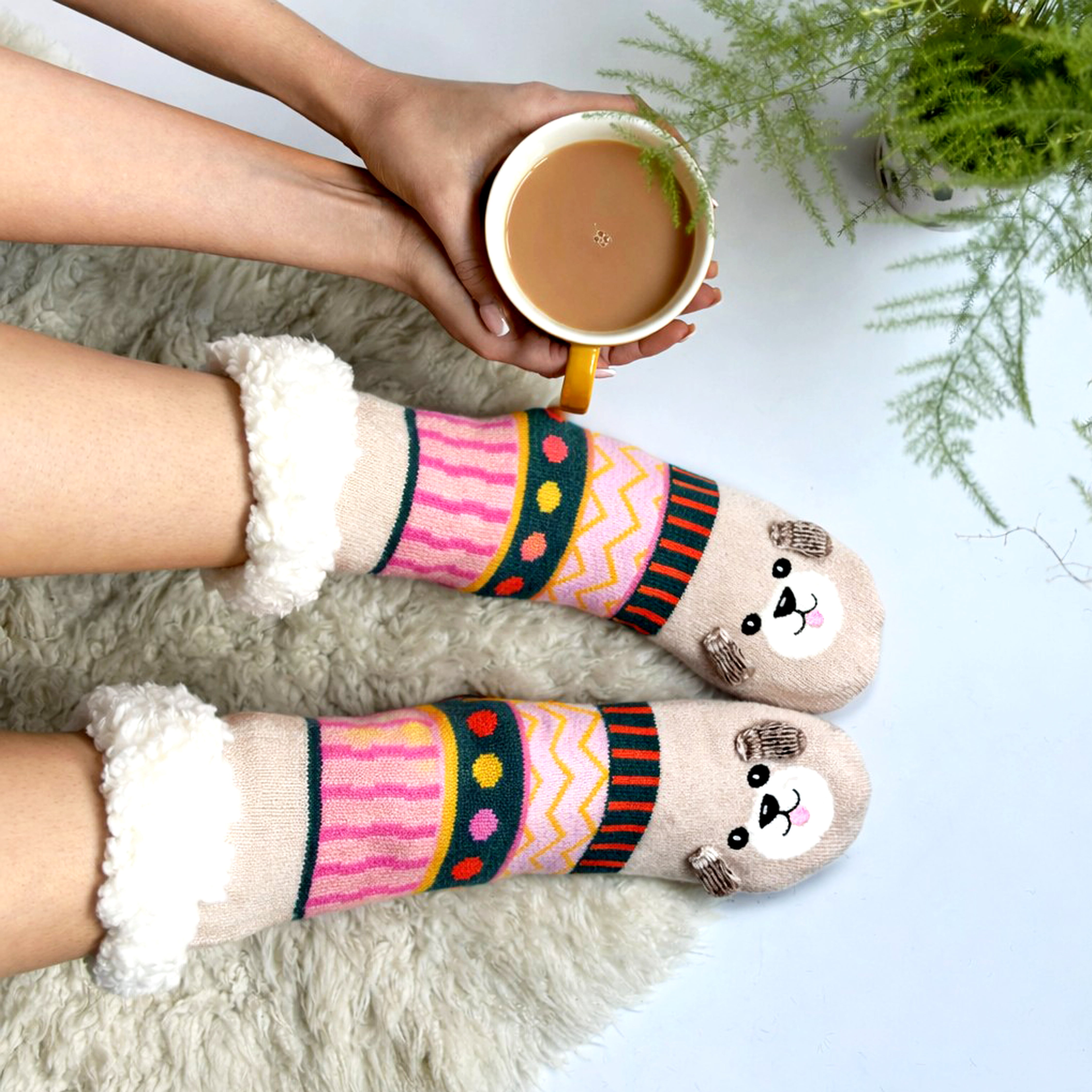 Dog House Slipper Socks