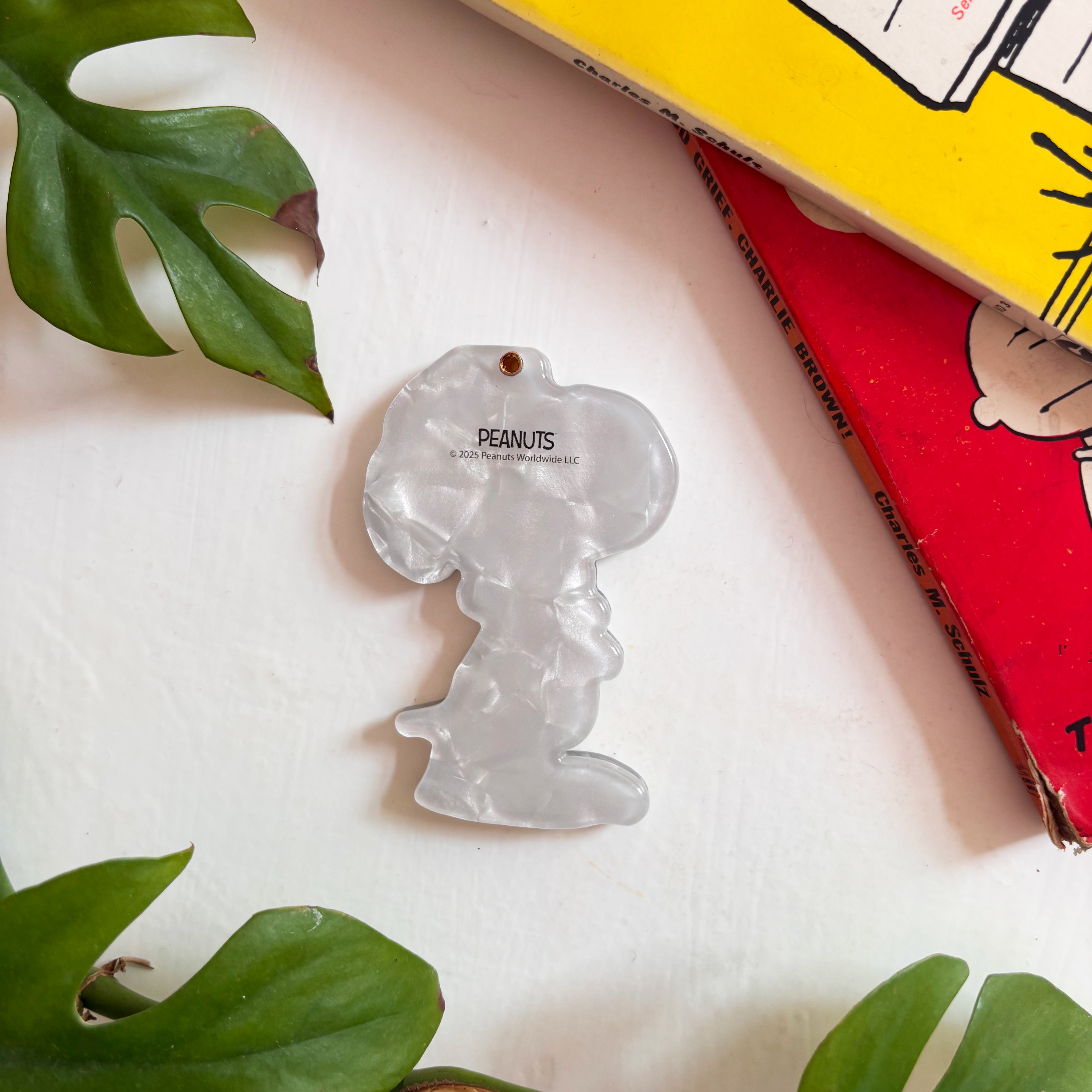 Peanuts Hugging Woodstock Compact Mirror