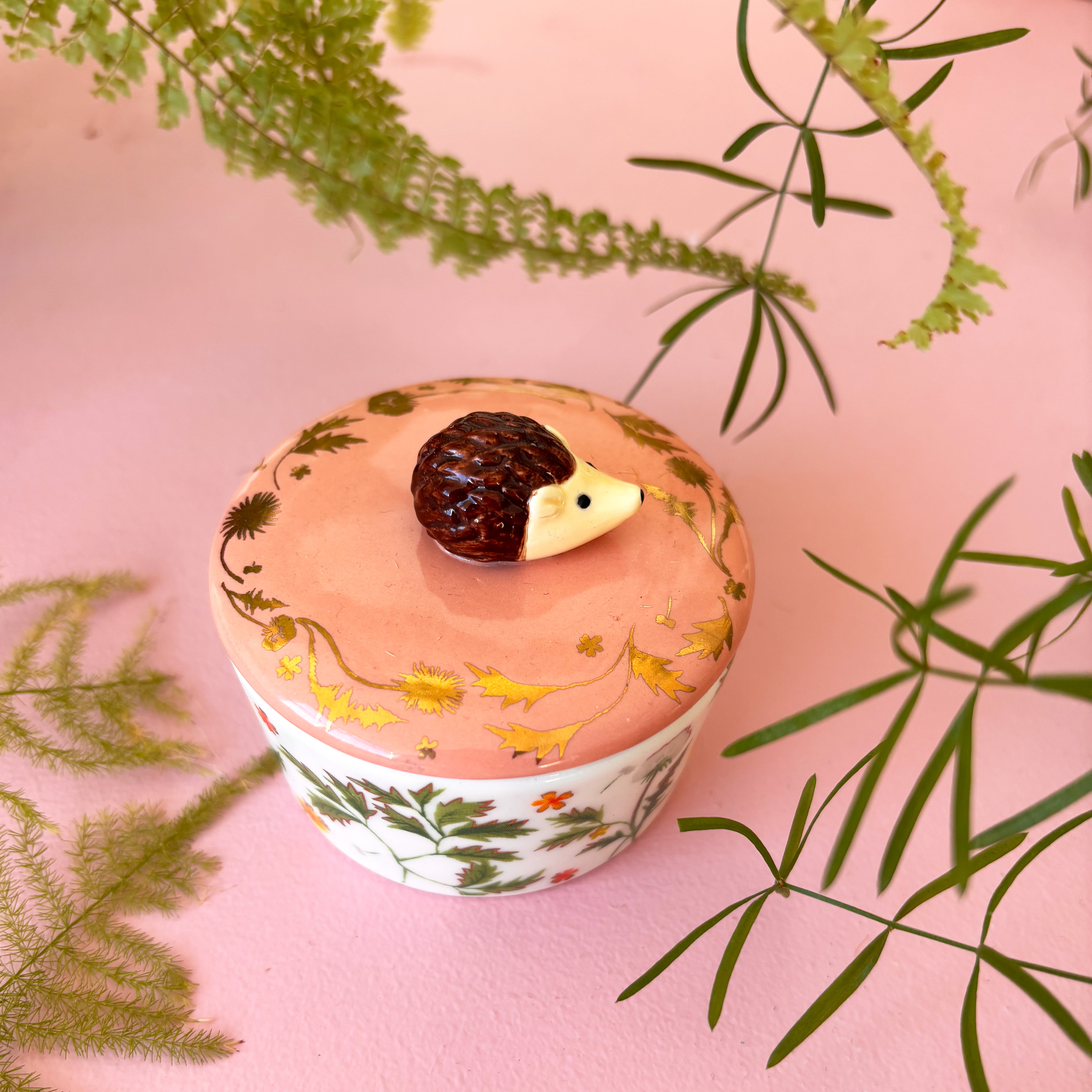 Secret Garden Hedgehog Trinket Pot