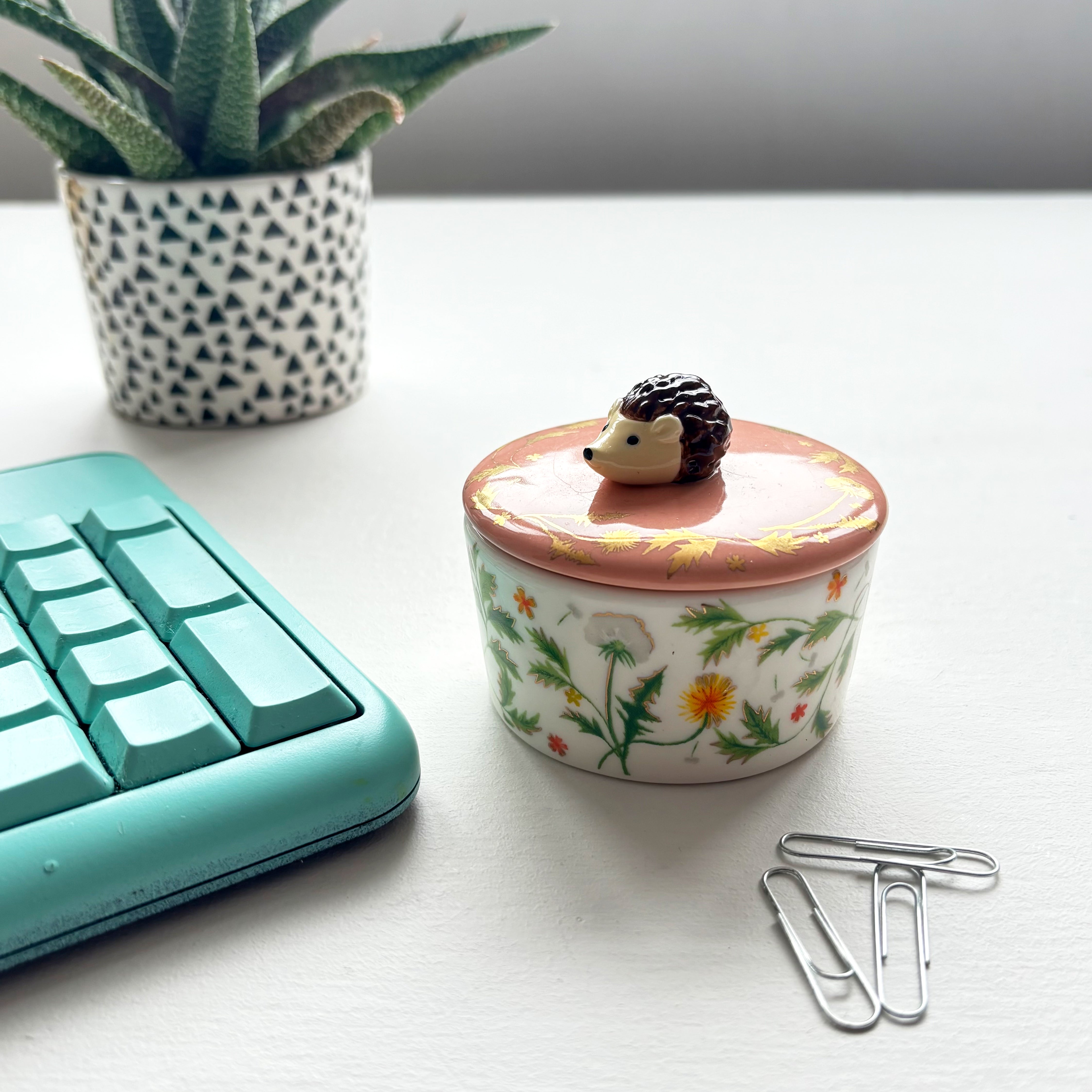 Secret Garden Hedgehog Trinket Pot