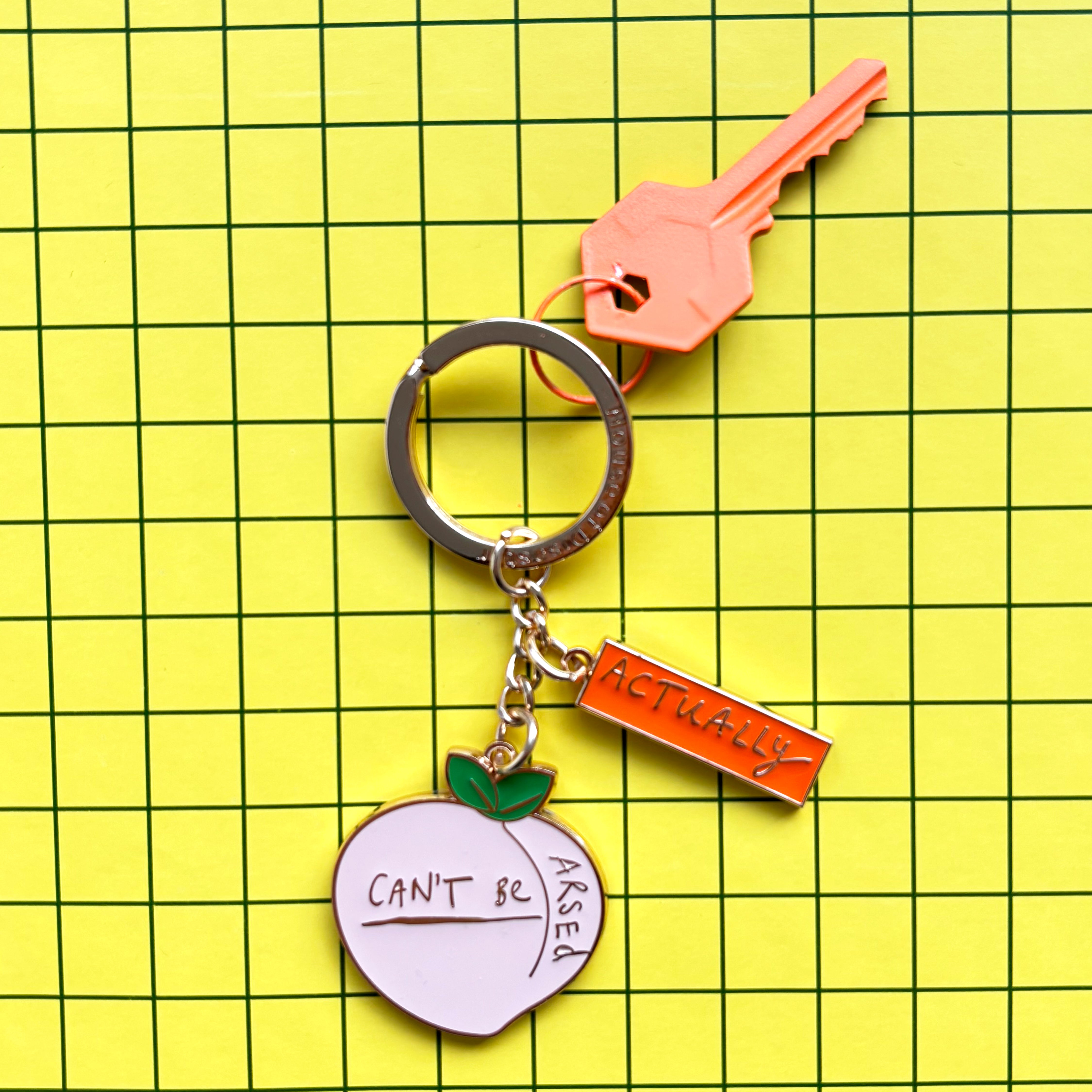 Small talk 'Can't be arsed' Keyring