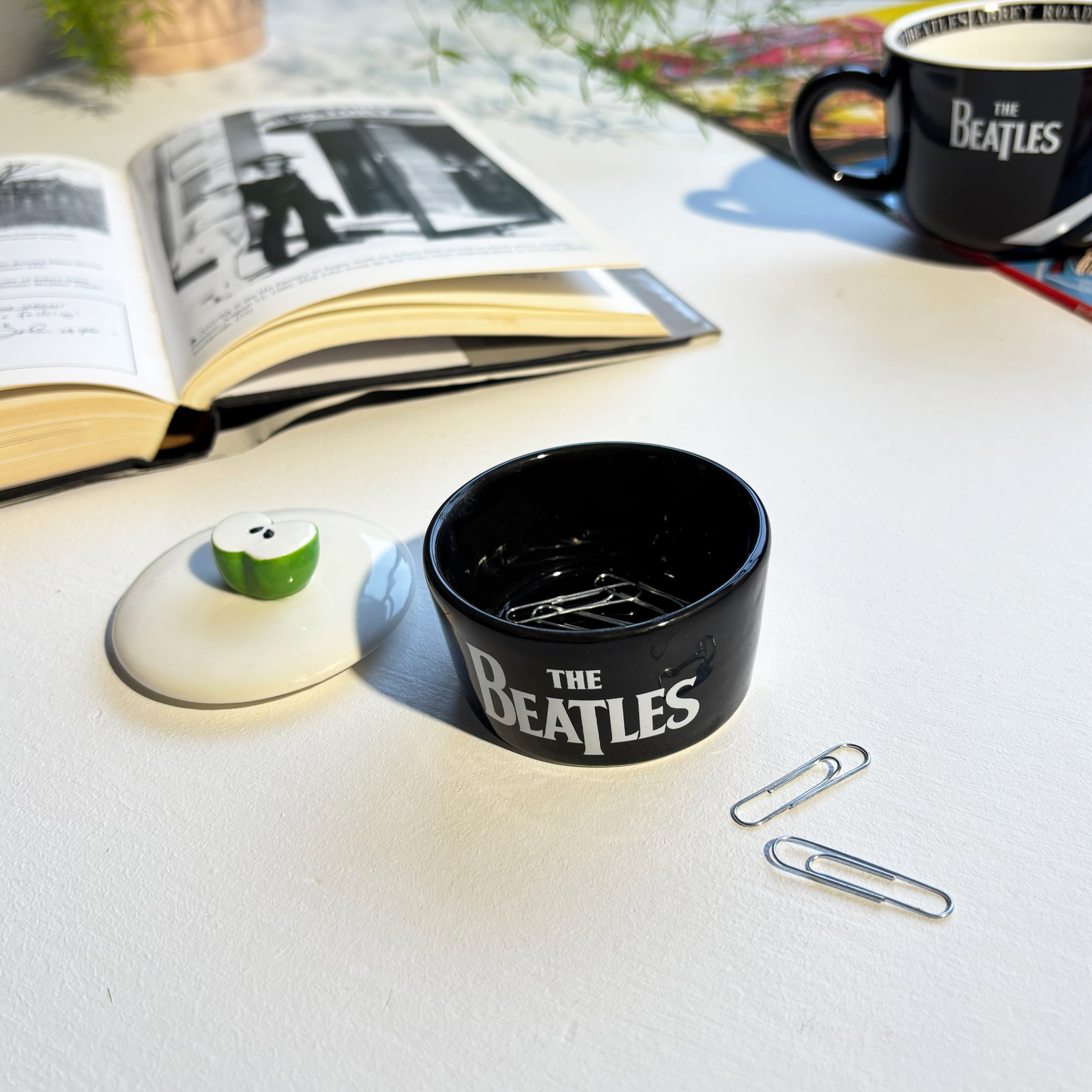 The Beatles Abbey Road Trinket Pot