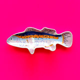 Tide Fish Dish