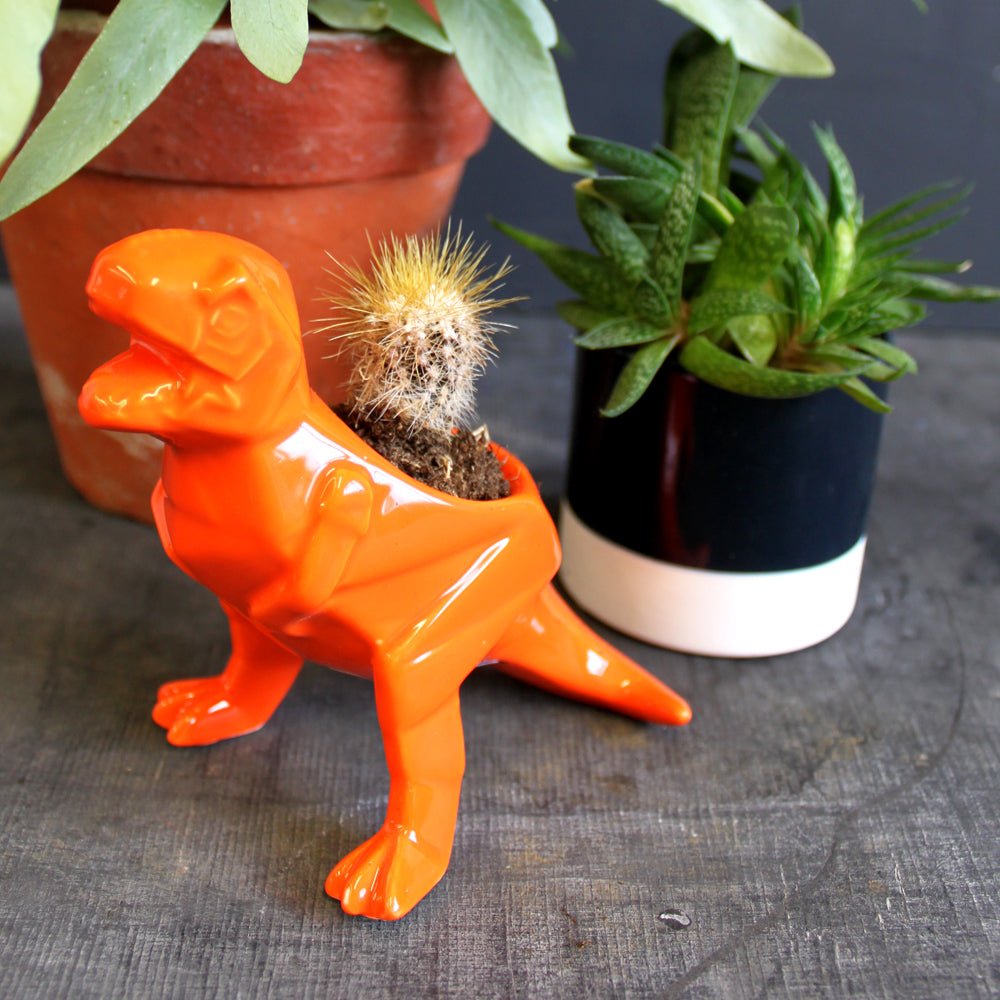 Origami Orange Egg Cup - House of Disaster