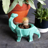 Origami Turquoise Egg Cup - House of Disaster