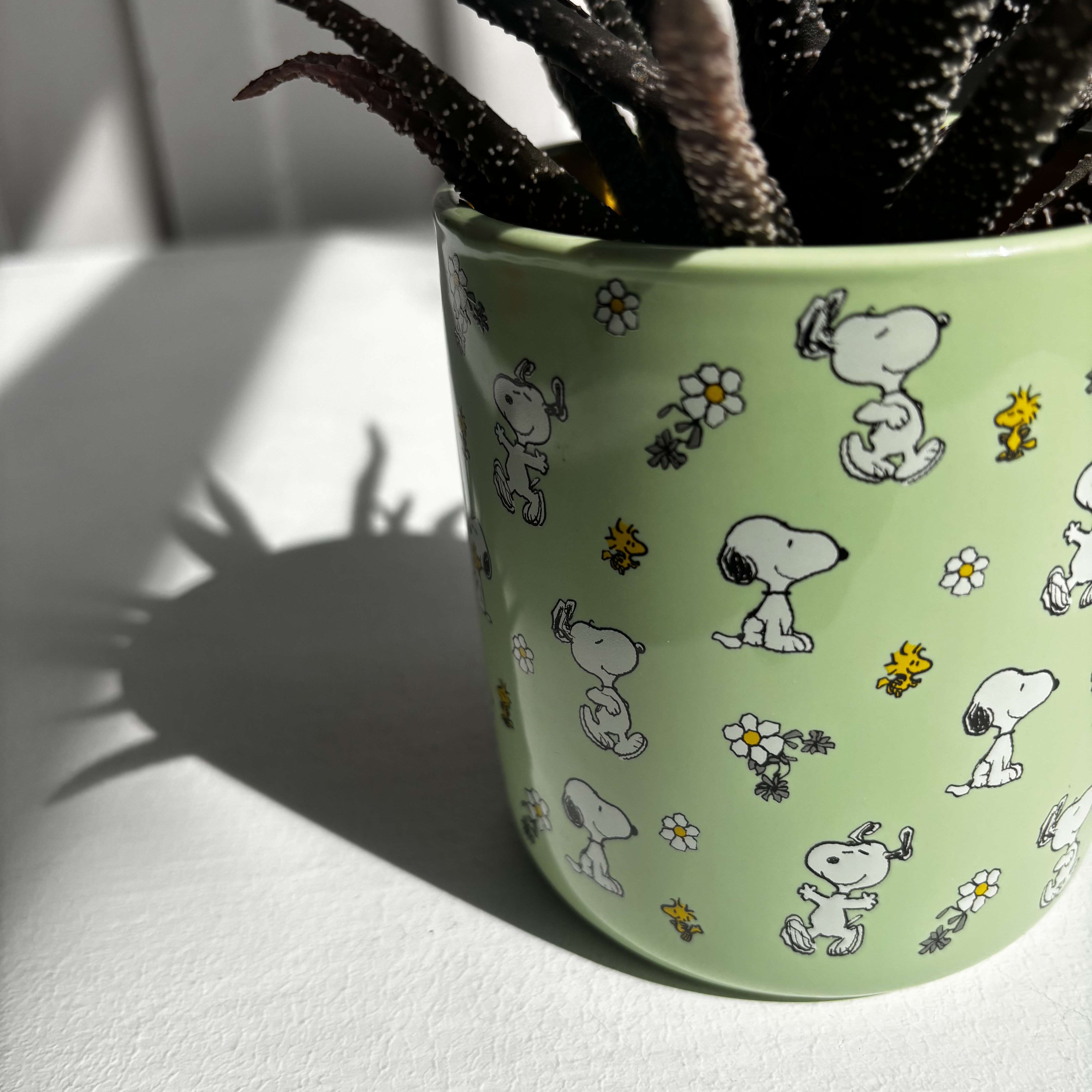 Peanuts Planter