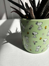 Peanuts Planter