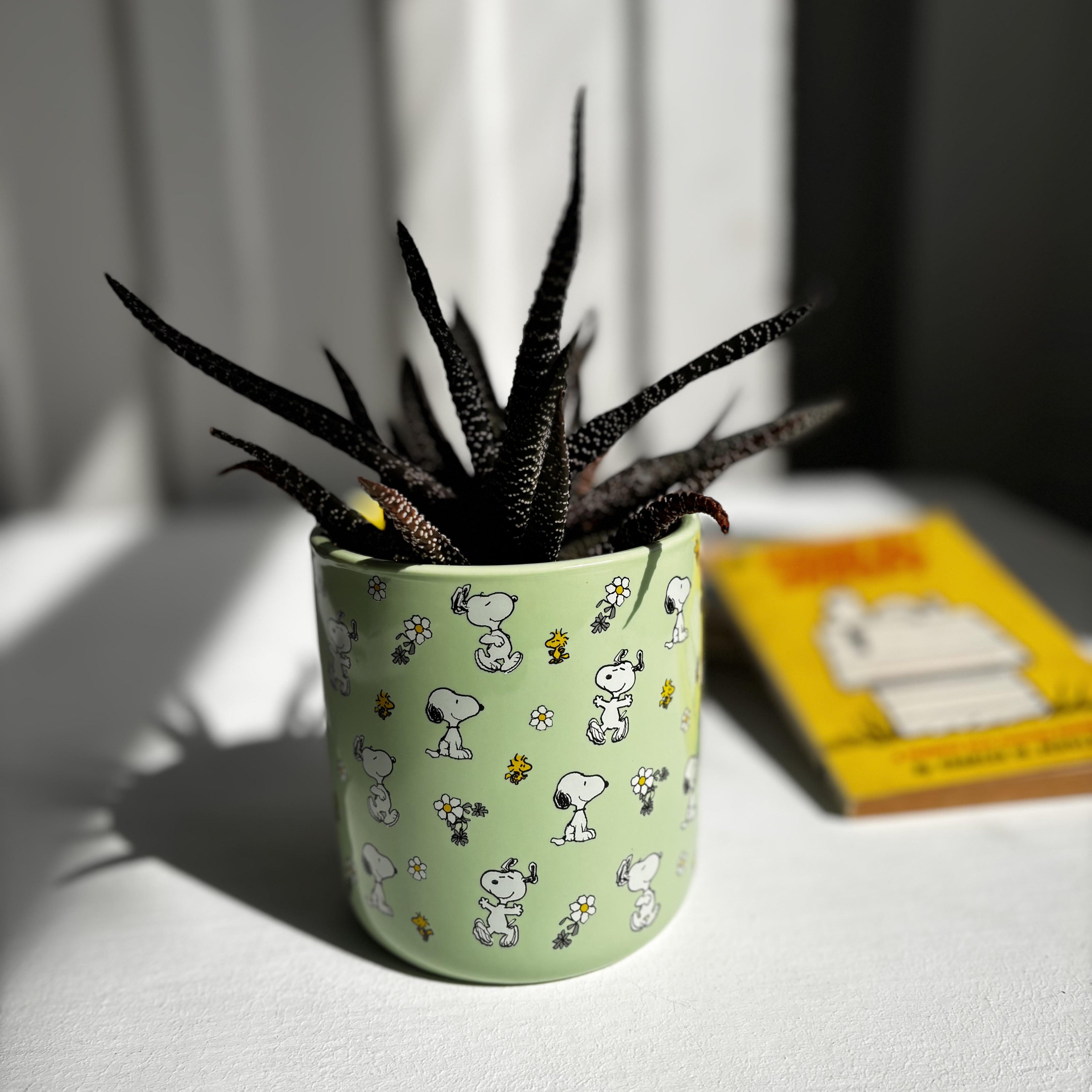 Peanuts Planter