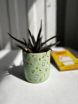 Peanuts Planter