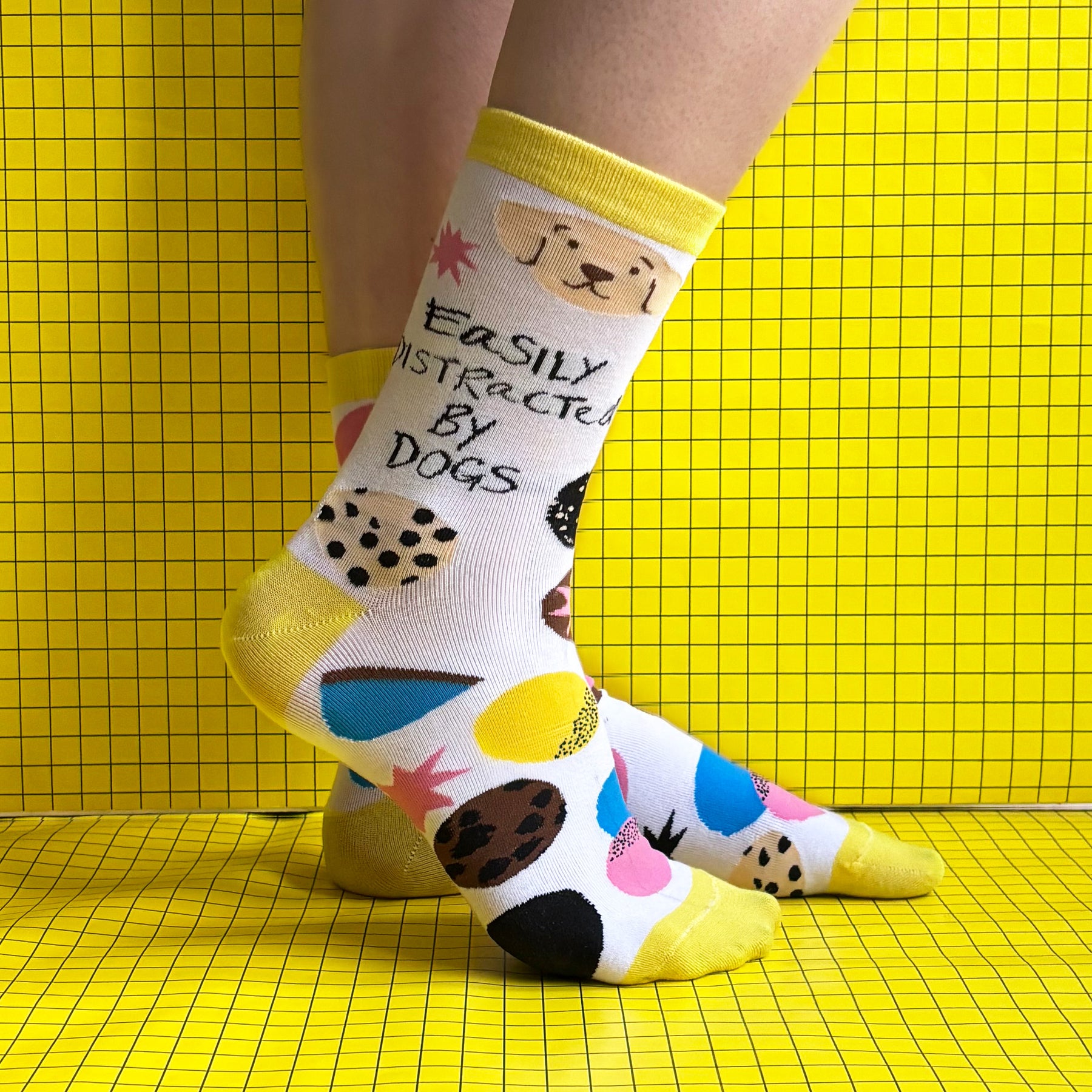 Small Talk 'Distracted By Dogs' Socks