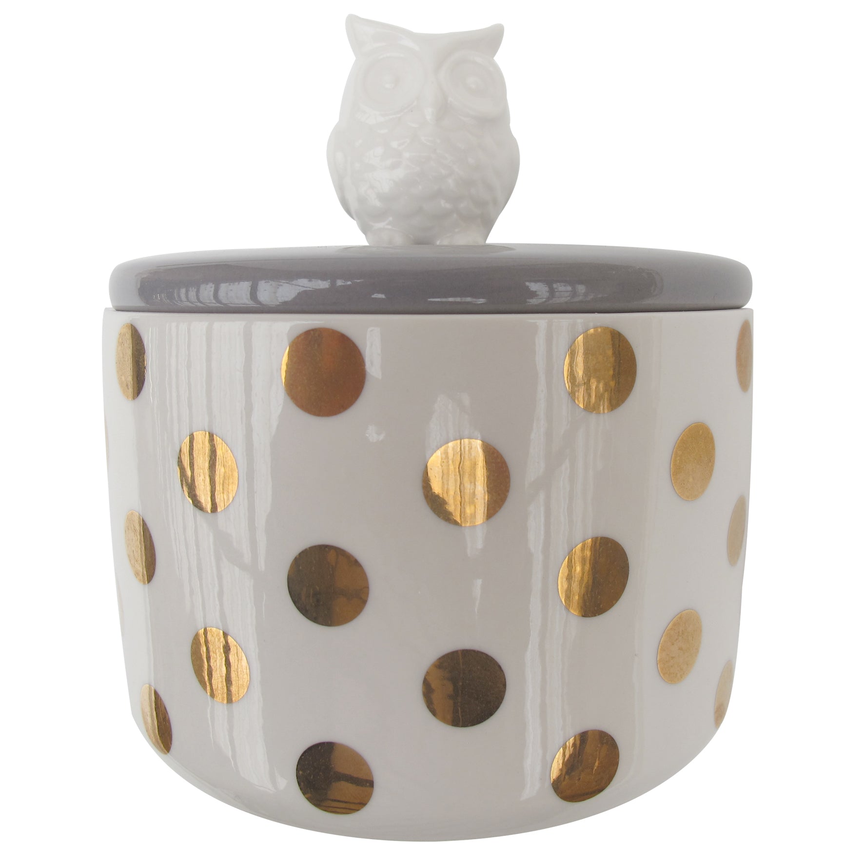 Spotty Owl Jar