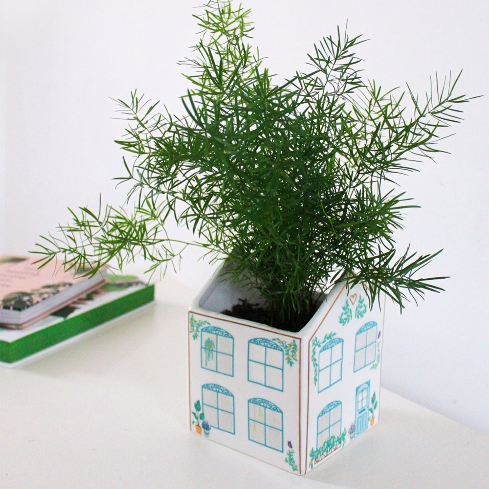 Boulevard House Planter
