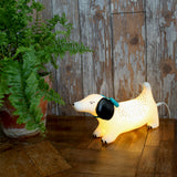 Mini Led Lamp Over The Moon Hot Dog