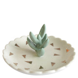 Urban Succulent Dish