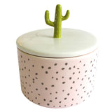 Urban Garden Cactus Jar